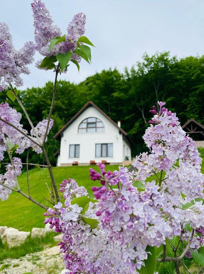 Villa Casuta Boema Rîşnov Exterior foto