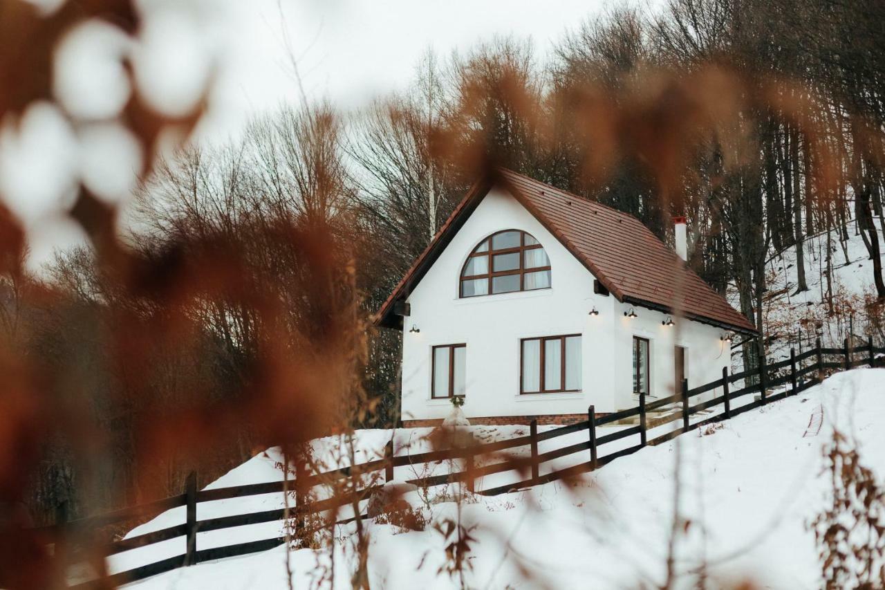 Villa Casuta Boema Rîşnov Exterior foto